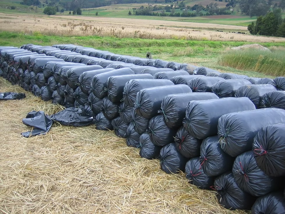 WhatsApp Image 2026-02-17 at 11.26.50 AM.jpeg