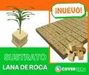 Sustrato de lana Roca 50 celdas 1"
