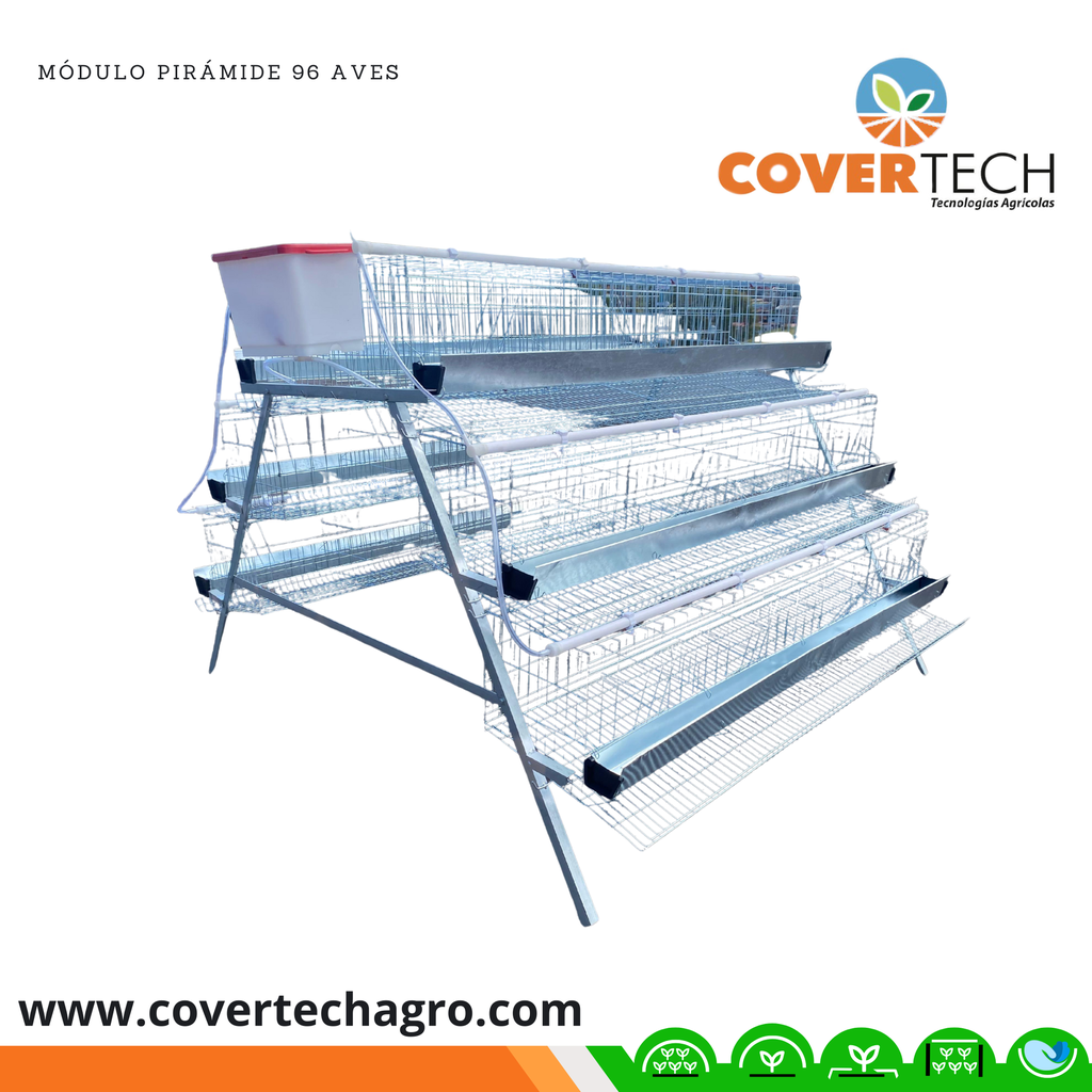 Modulo piramide 6 niveles con accesorios para aves postura