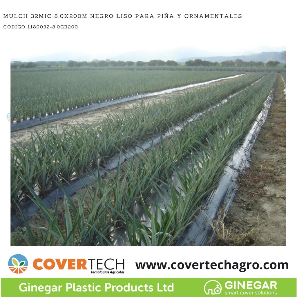 Acolchado Mulch 32MIC 8.0x200m Negro/Negro Liso C800