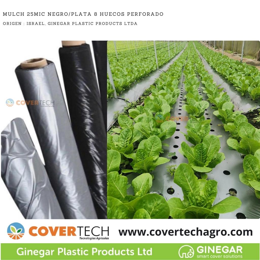  Acolchado Mulch 25MIC 1.3x500m Negro/Plata pre-cortado 8 huecos - 3cm
