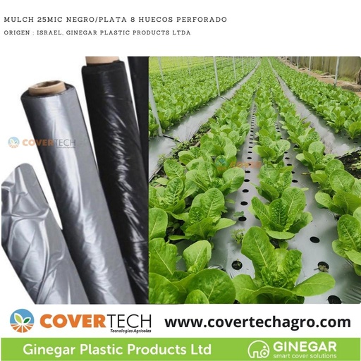 [112325-1.3SD500]  Acolchado Mulch 25MIC 1.3x500m Negro/Plata pre-cortado 8 huecos - 3cm